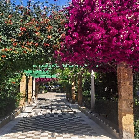 Alameda11 Apartment Cadiz Ngoại thất bức ảnh