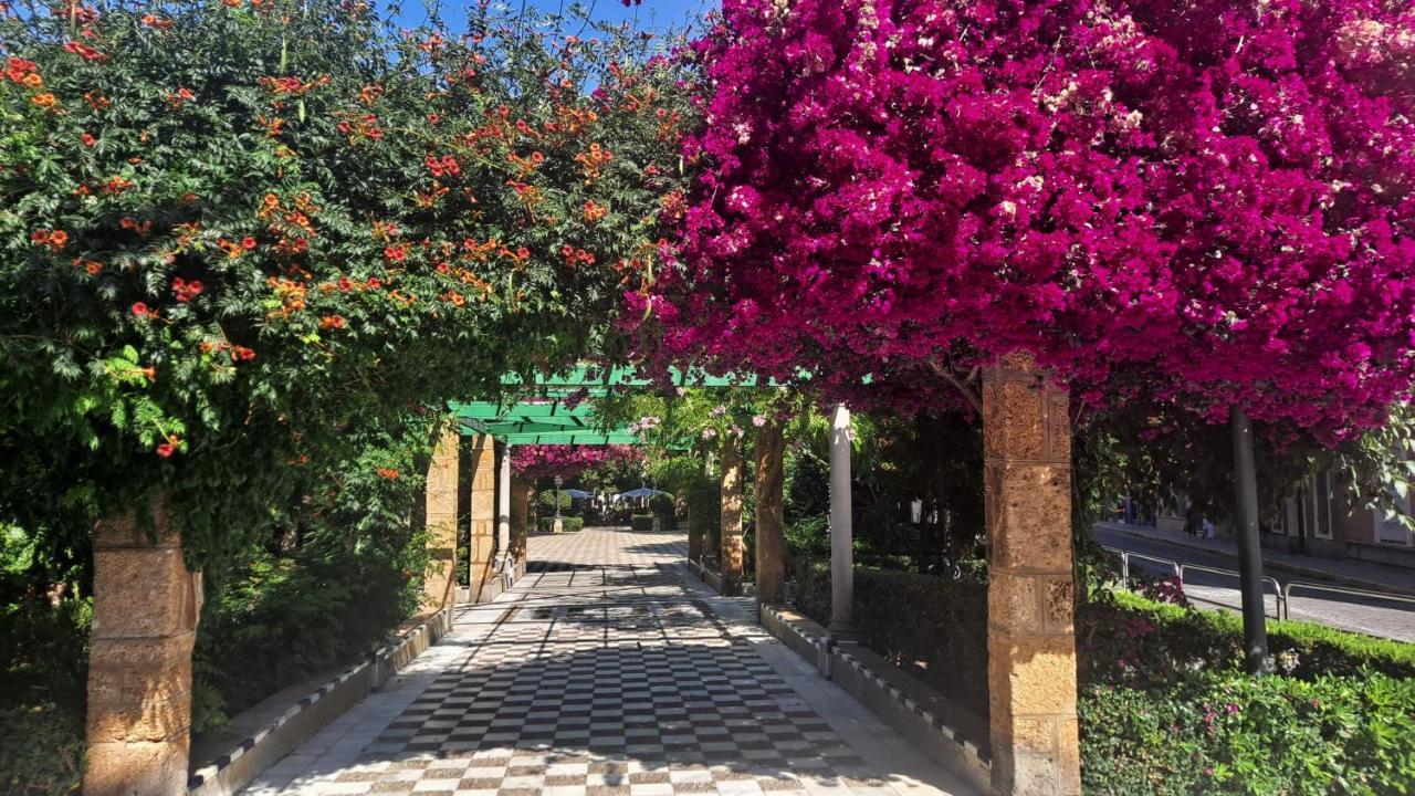 Alameda11 Apartment Cadiz Ngoại thất bức ảnh